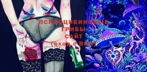 дживик Алексин