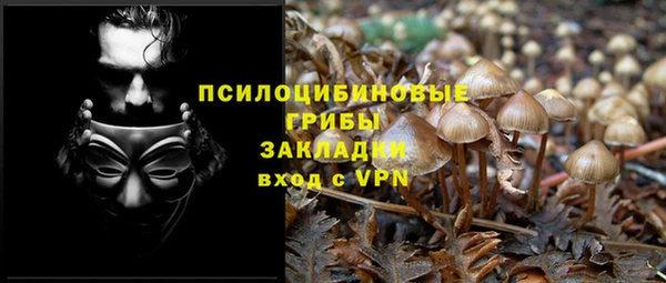 дживик Алексин