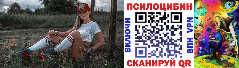 закладка  Барнаул  Галлюциногенные грибы мицелий 