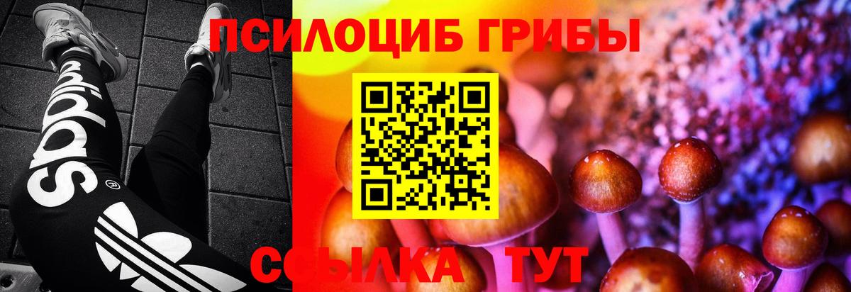 Псилоцибиновые грибы Cubensis Барнаул